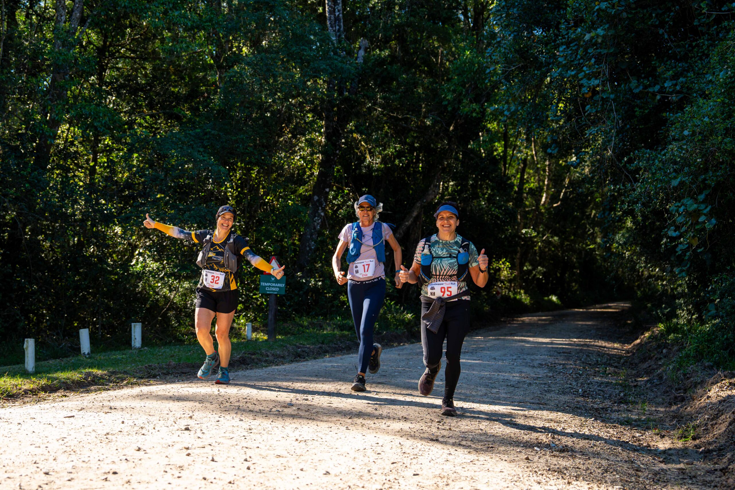 Houtkapper Trail Run through the forest